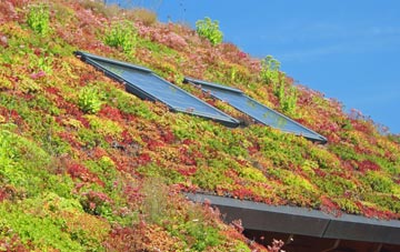 Abercregan living roof systems